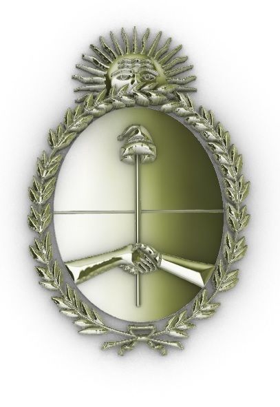 Escudo de Argentina Argentina Shield 3D print model_3