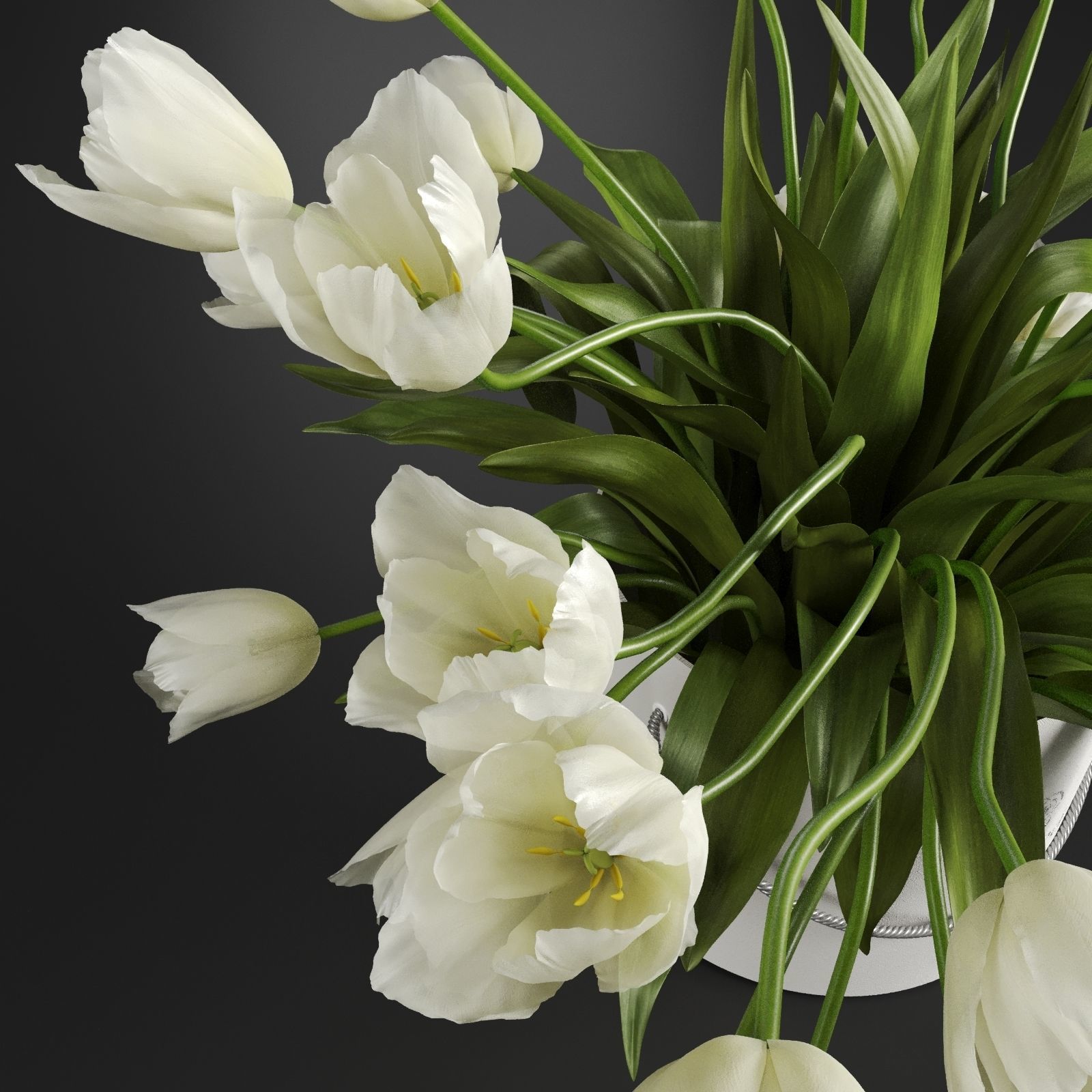 Bouquet of tulips in a cylinder white colors 3D model_4