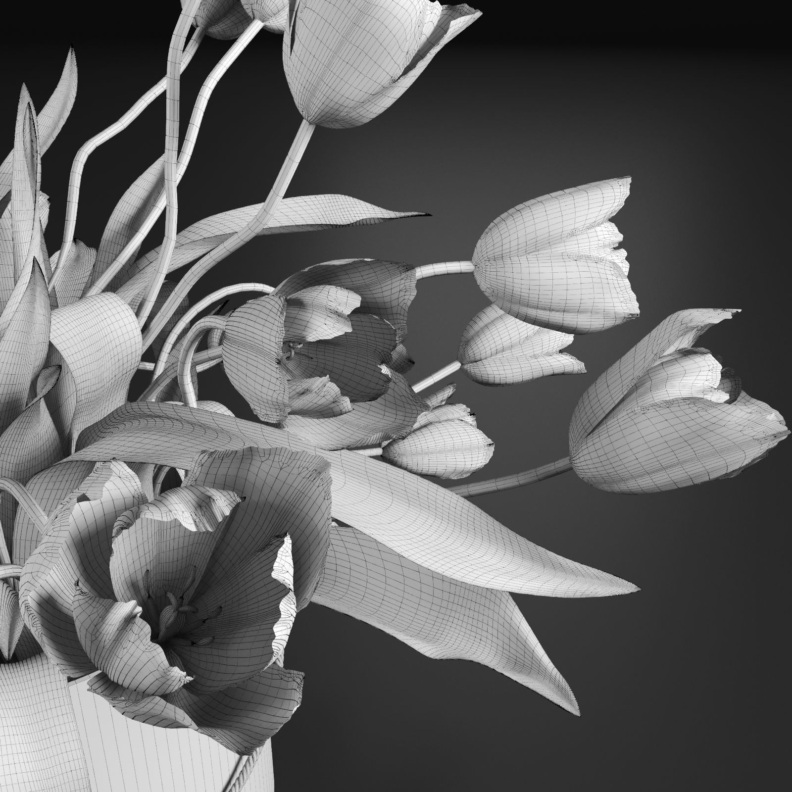 Bouquet of tulips in a cylinder white colors 3D model_11