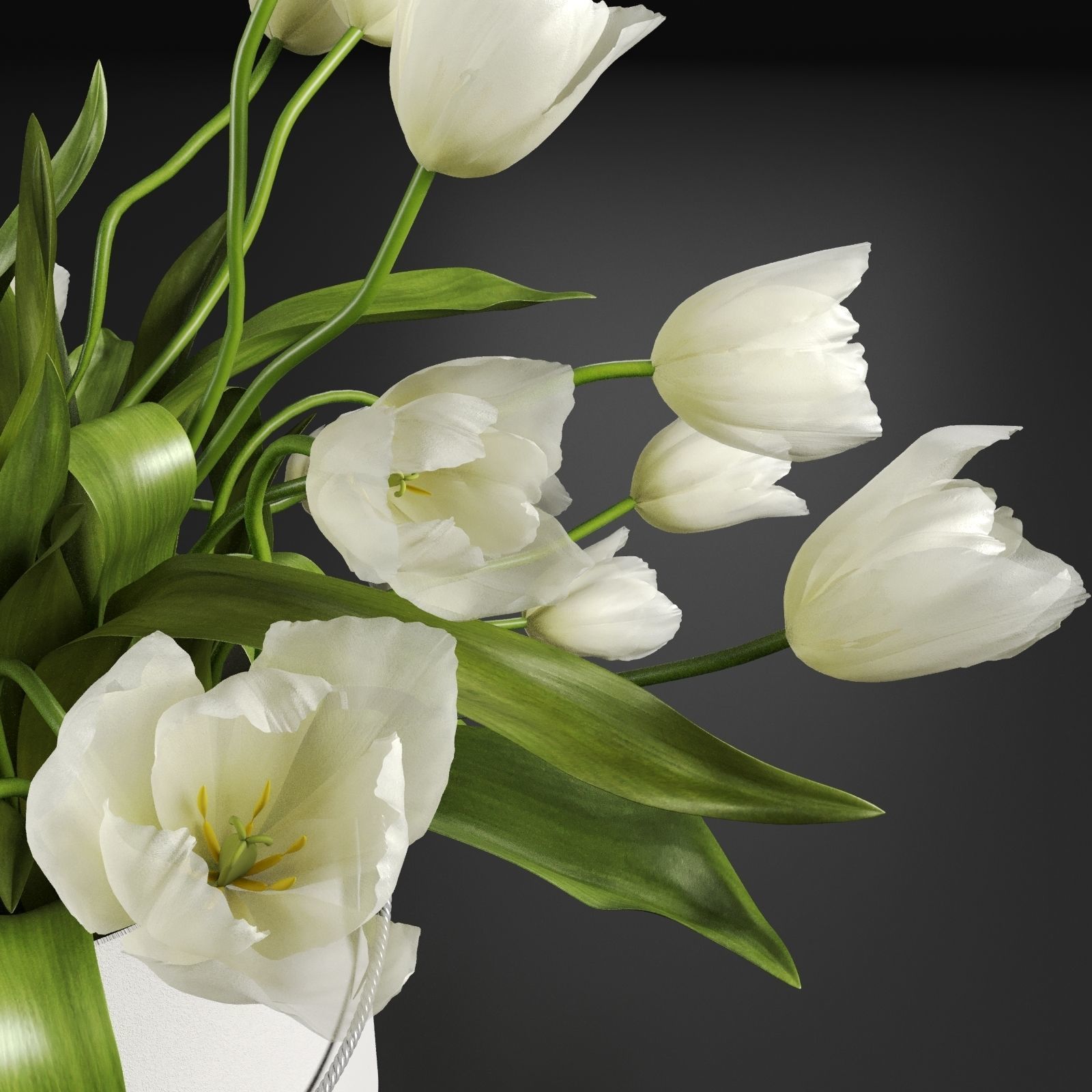 Bouquet of tulips in a cylinder white colors 3D model_3