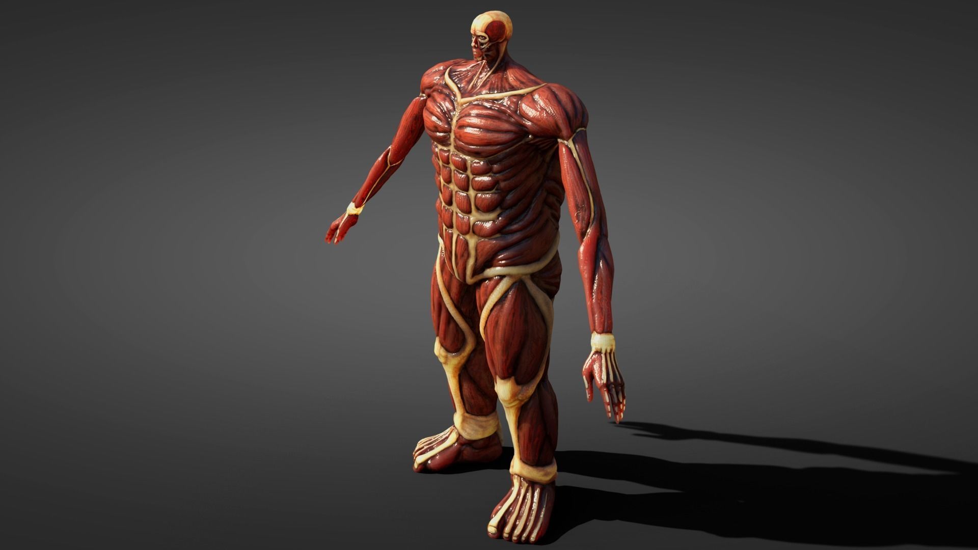 Colossal titan 3D model_1