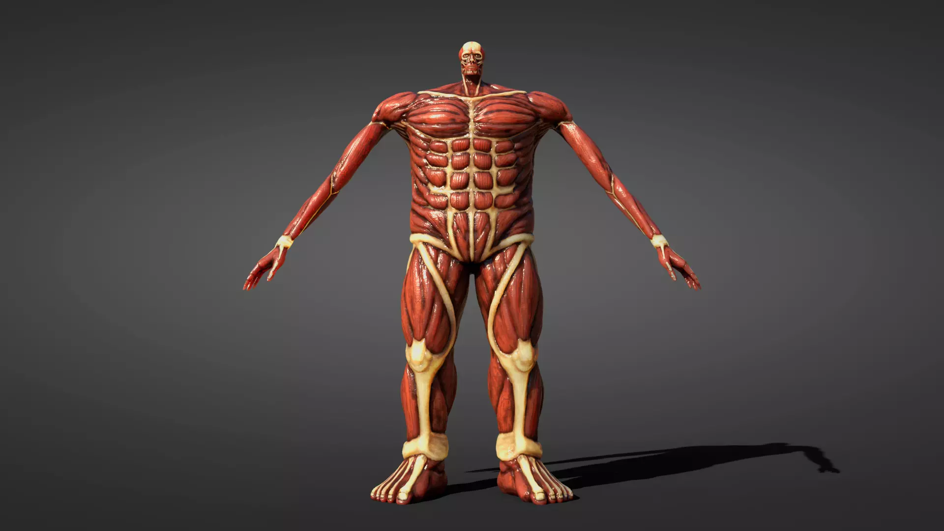 Colossal titan 3D model_0