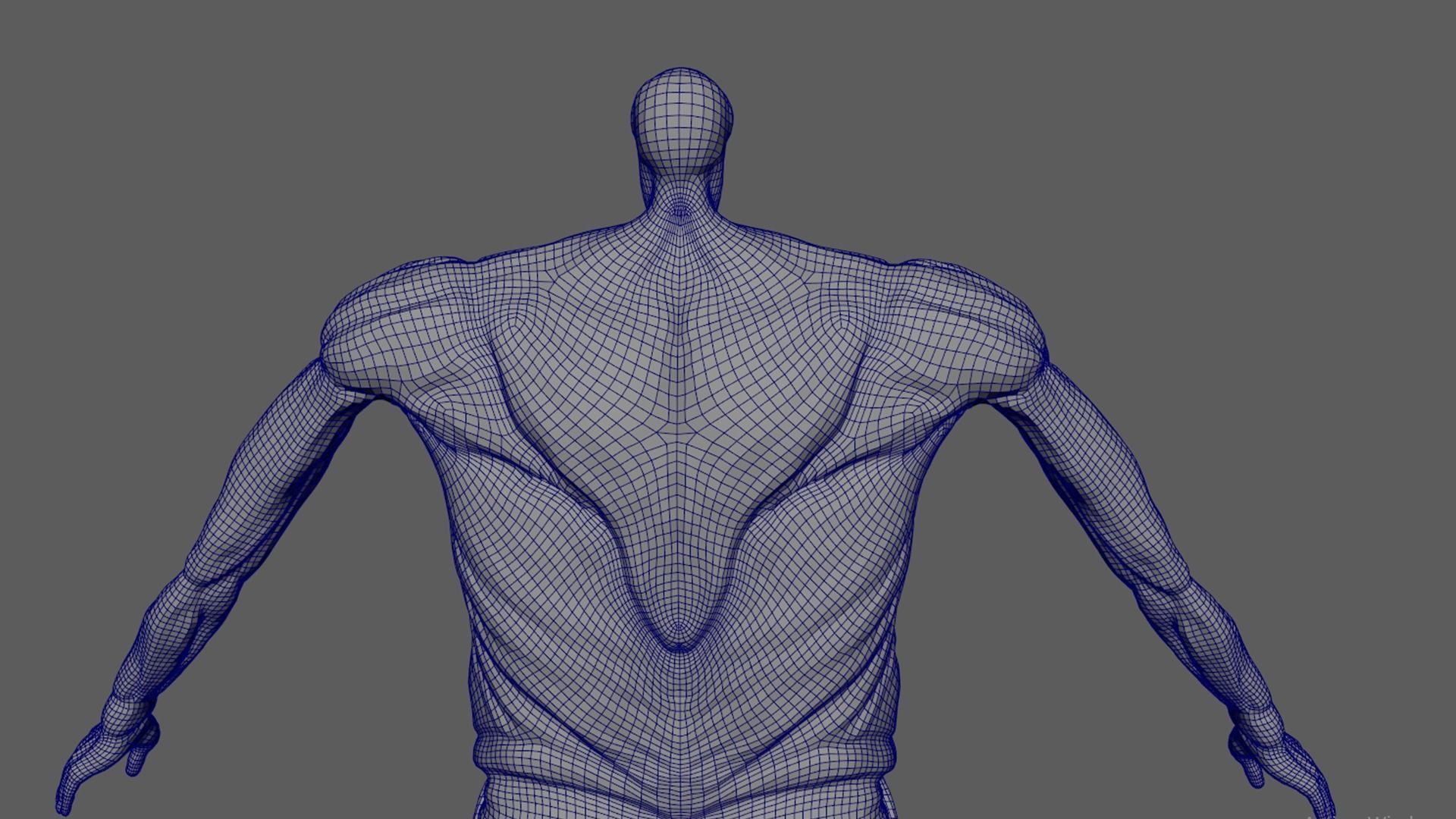 Colossal titan 3D model_9