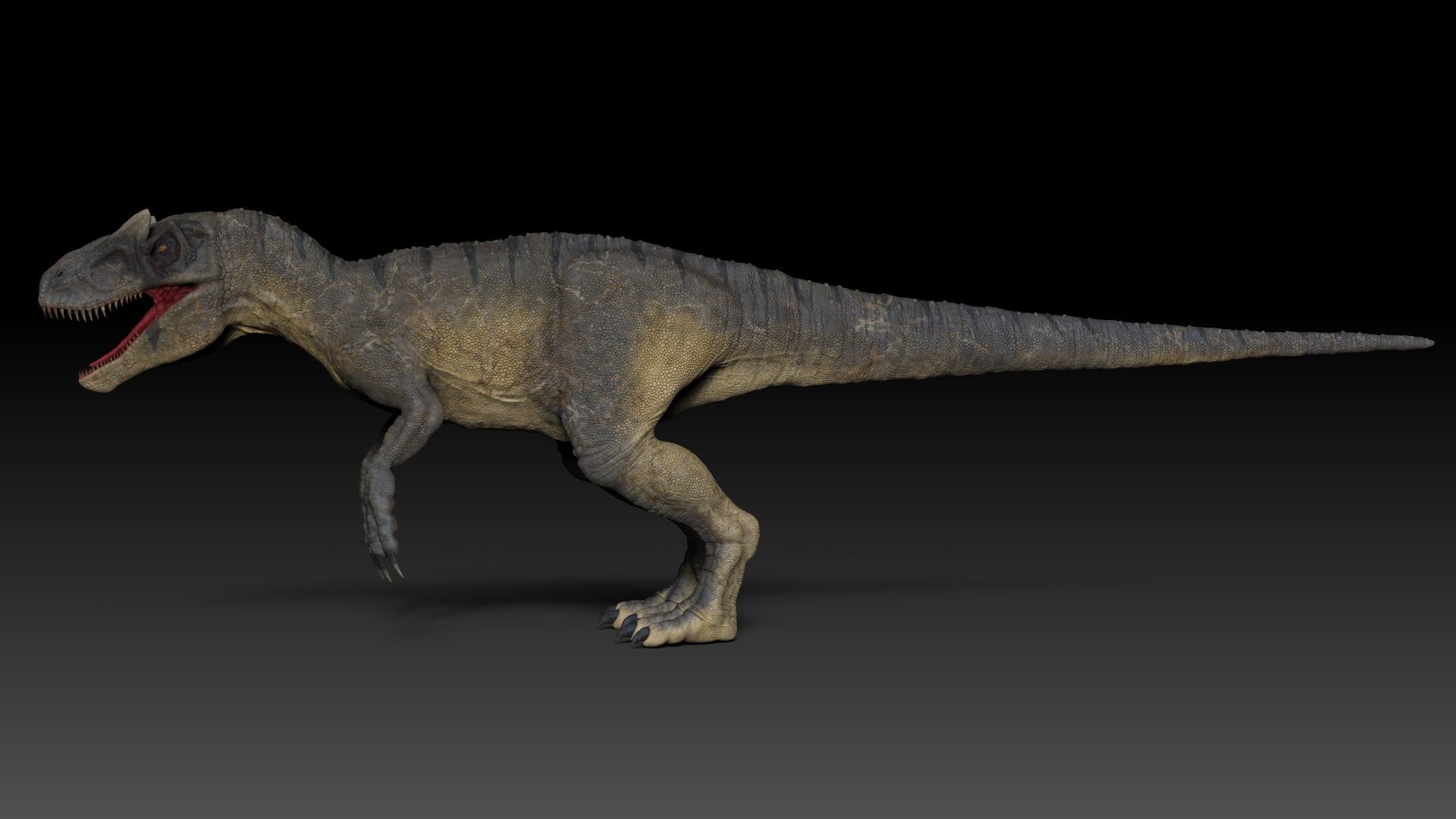 Dinosaur Allosaurus Sculpt Project 3D model_5