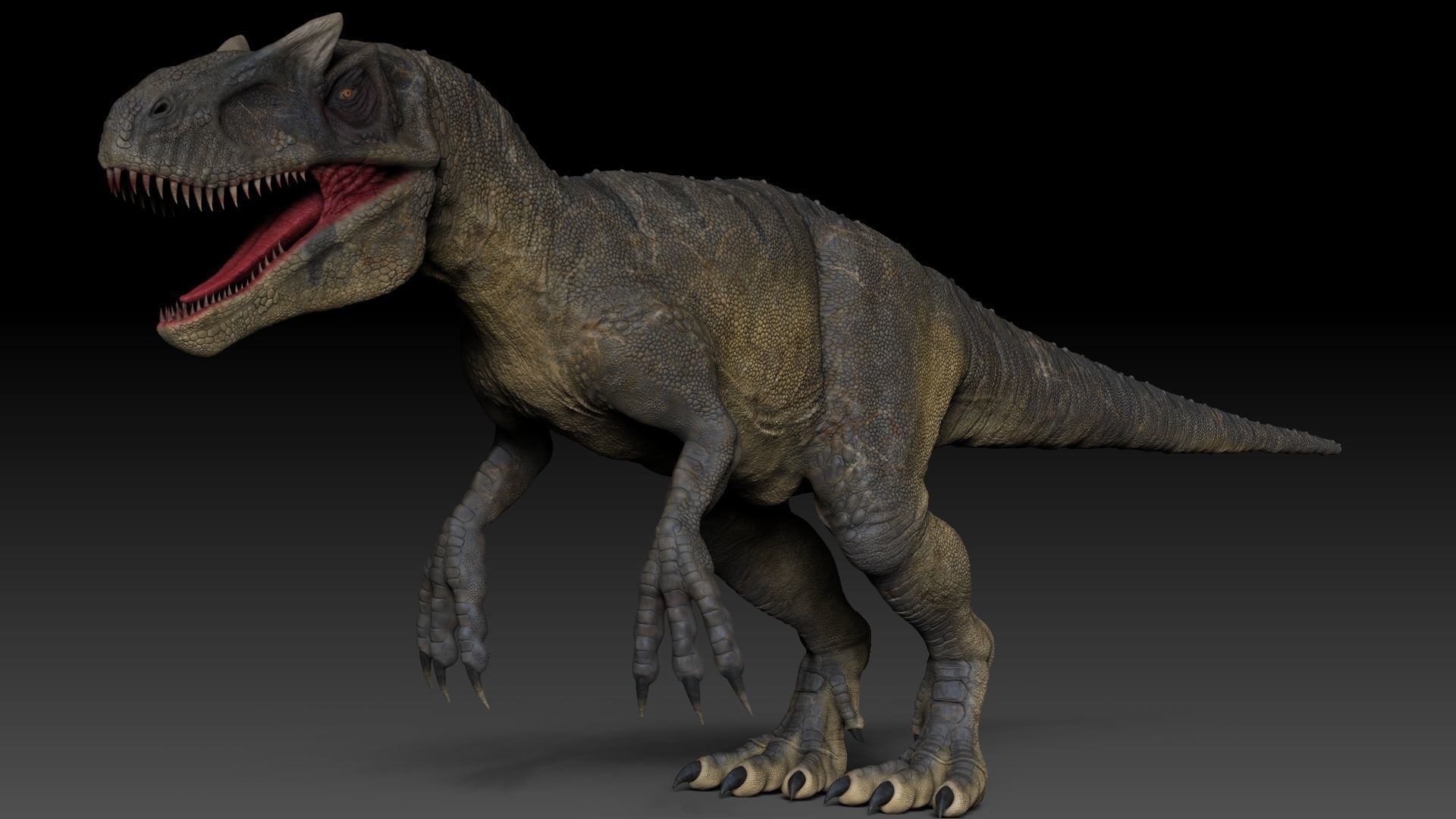 Dinosaur Allosaurus Sculpt Project 3D model_4