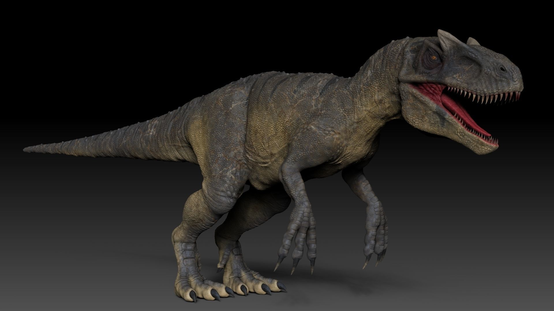 Dinosaur Allosaurus Sculpt Project 3D model_2