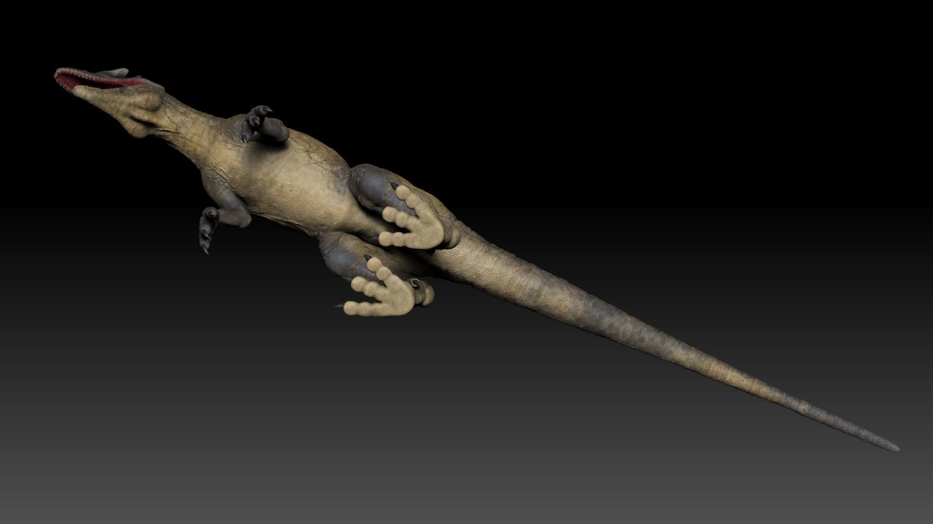 Dinosaur Allosaurus Sculpt Project 3D model_7