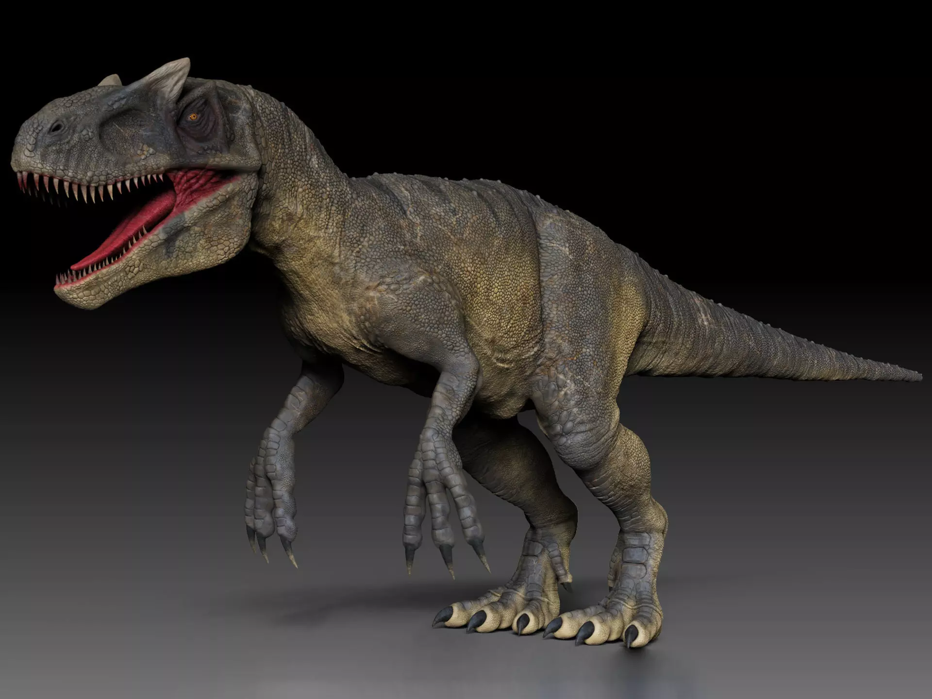 Dinosaur Allosaurus Sculpt Project 3D model_0