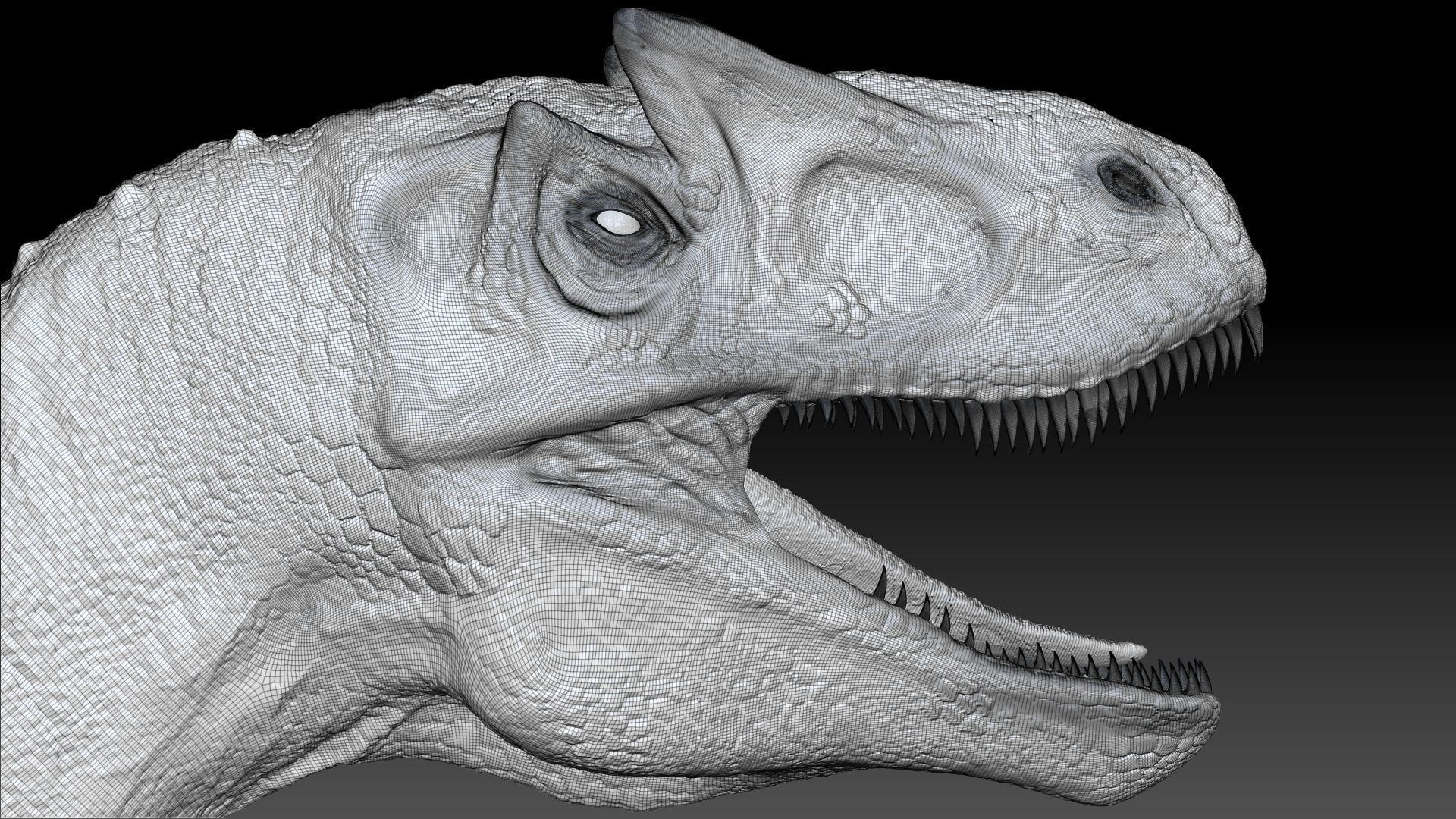 Dinosaur Allosaurus Sculpt Project 3D model_11