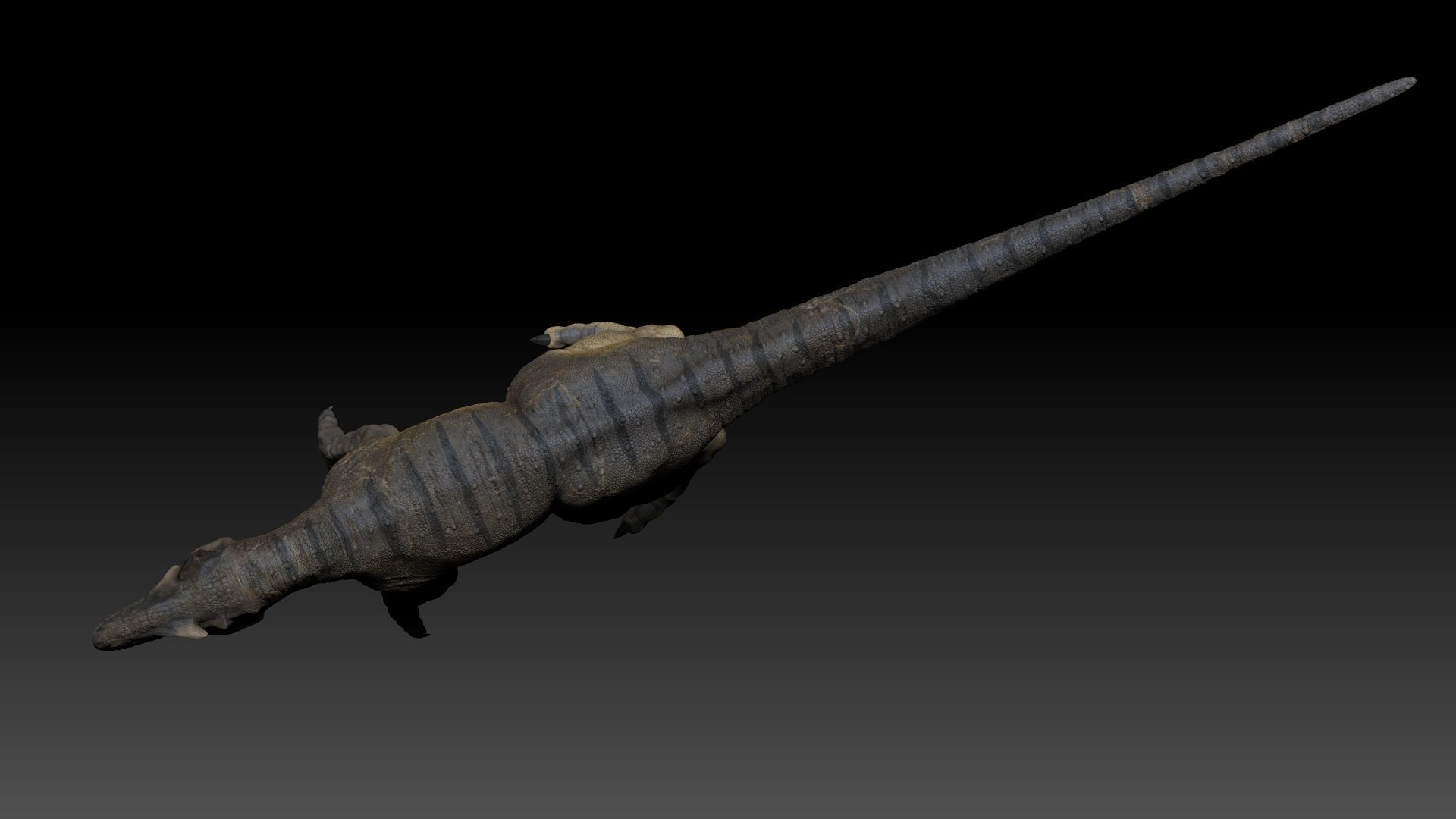 Dinosaur Allosaurus Sculpt Project 3D model_6