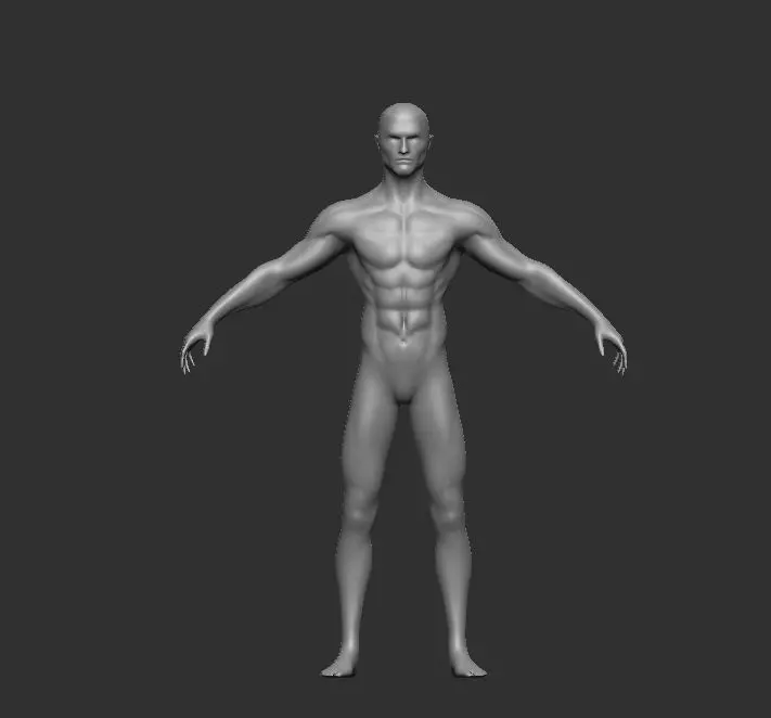 Lean Body muscular  upper body  3D model_0