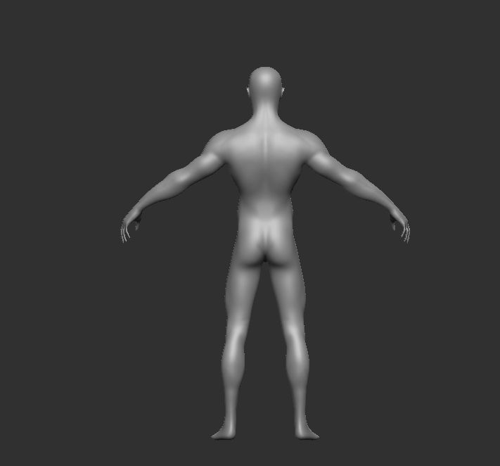 Lean Body muscular  upper body  3D model_1