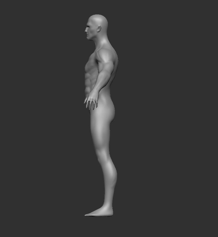 Lean Body muscular  upper body  3D model_3