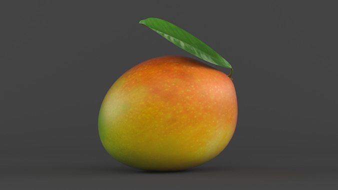Mango Fruit 3D model 4