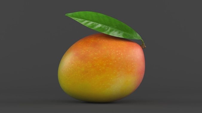 Mango Fruit 3D model 2