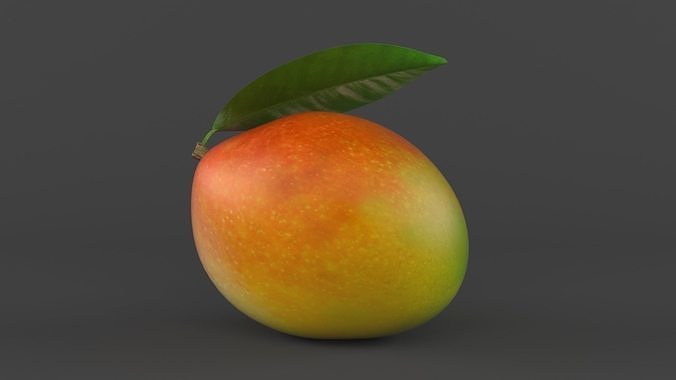 Mango Fruit 3D model 3