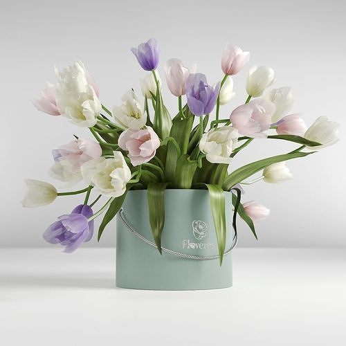 Bouquet of tulips in a cylinder white pink and violet colors 3D model