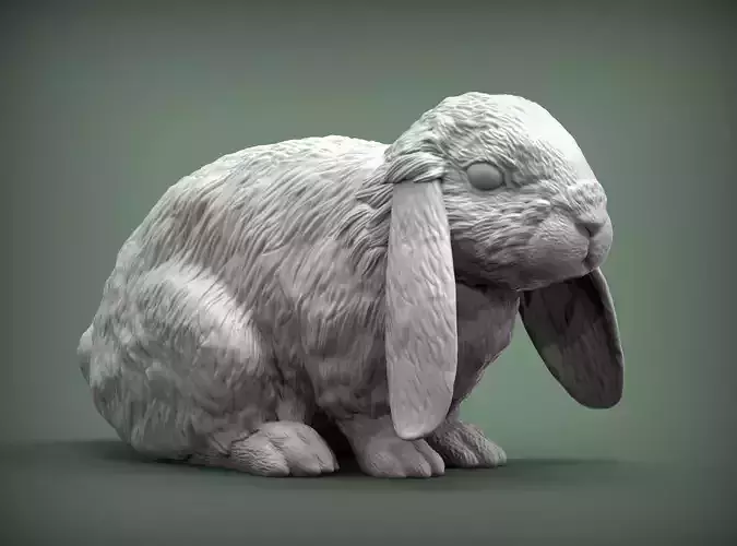 Rabbit  American Fuzzy Fop 3D print model