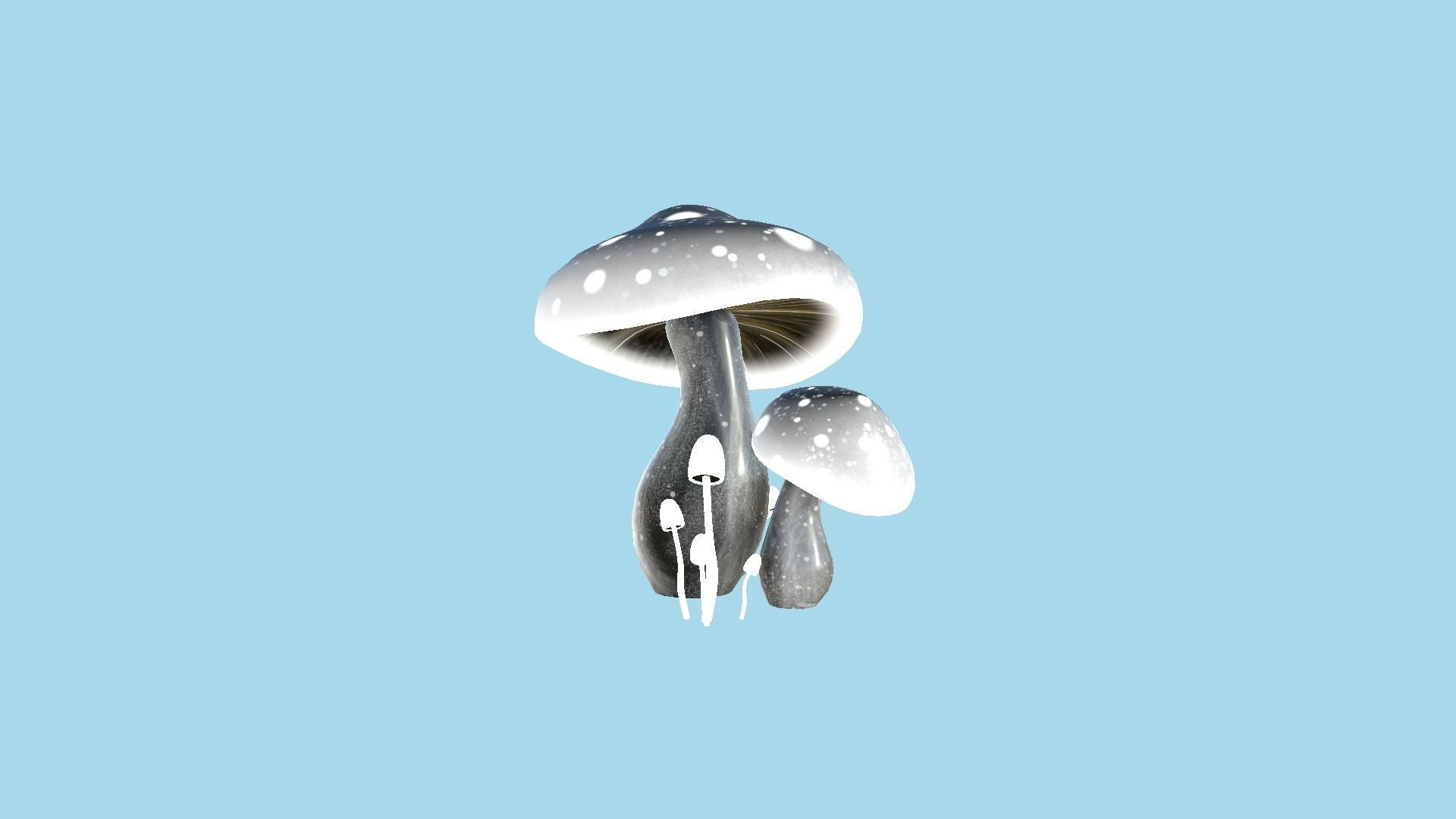 10 Fantasy Mushroom A Collection - Scene Backdrop Design _33