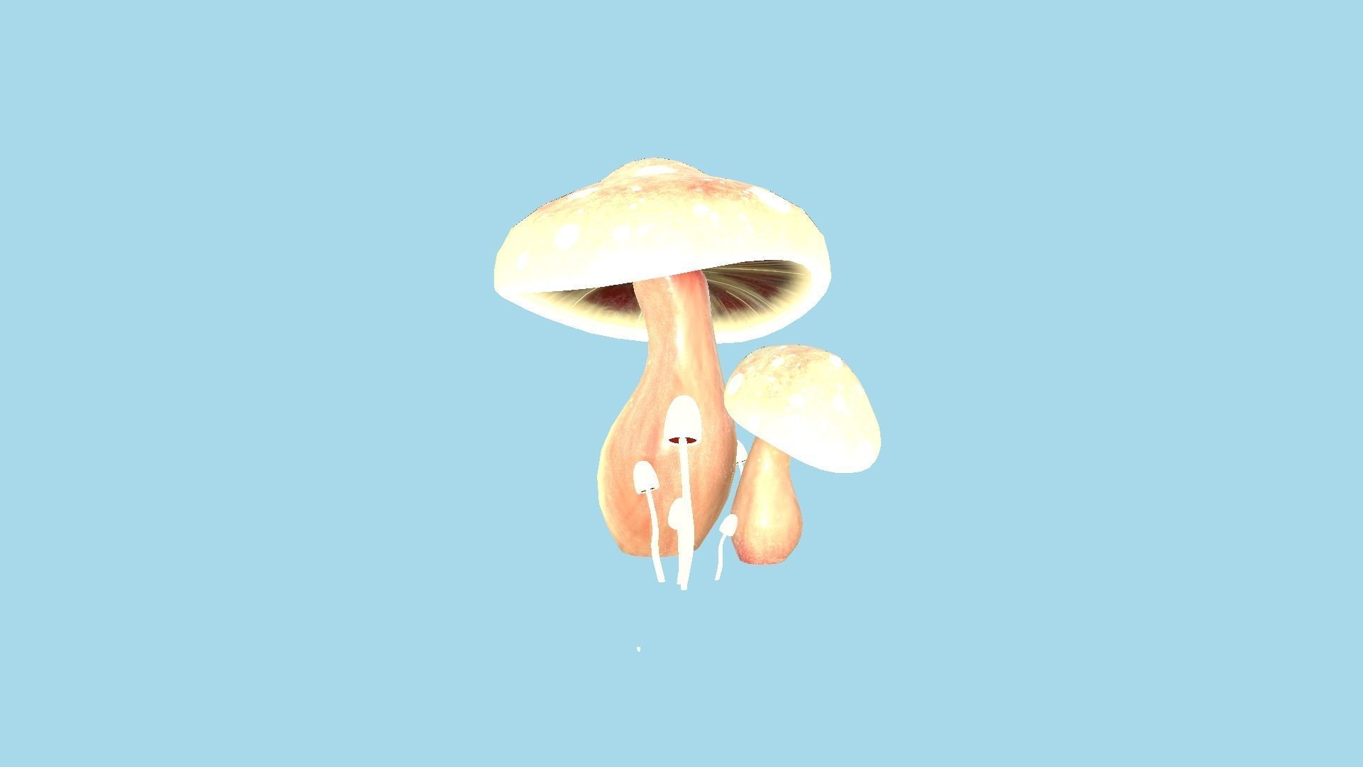 10 Fantasy Mushroom A Collection - Scene Backdrop Design _25