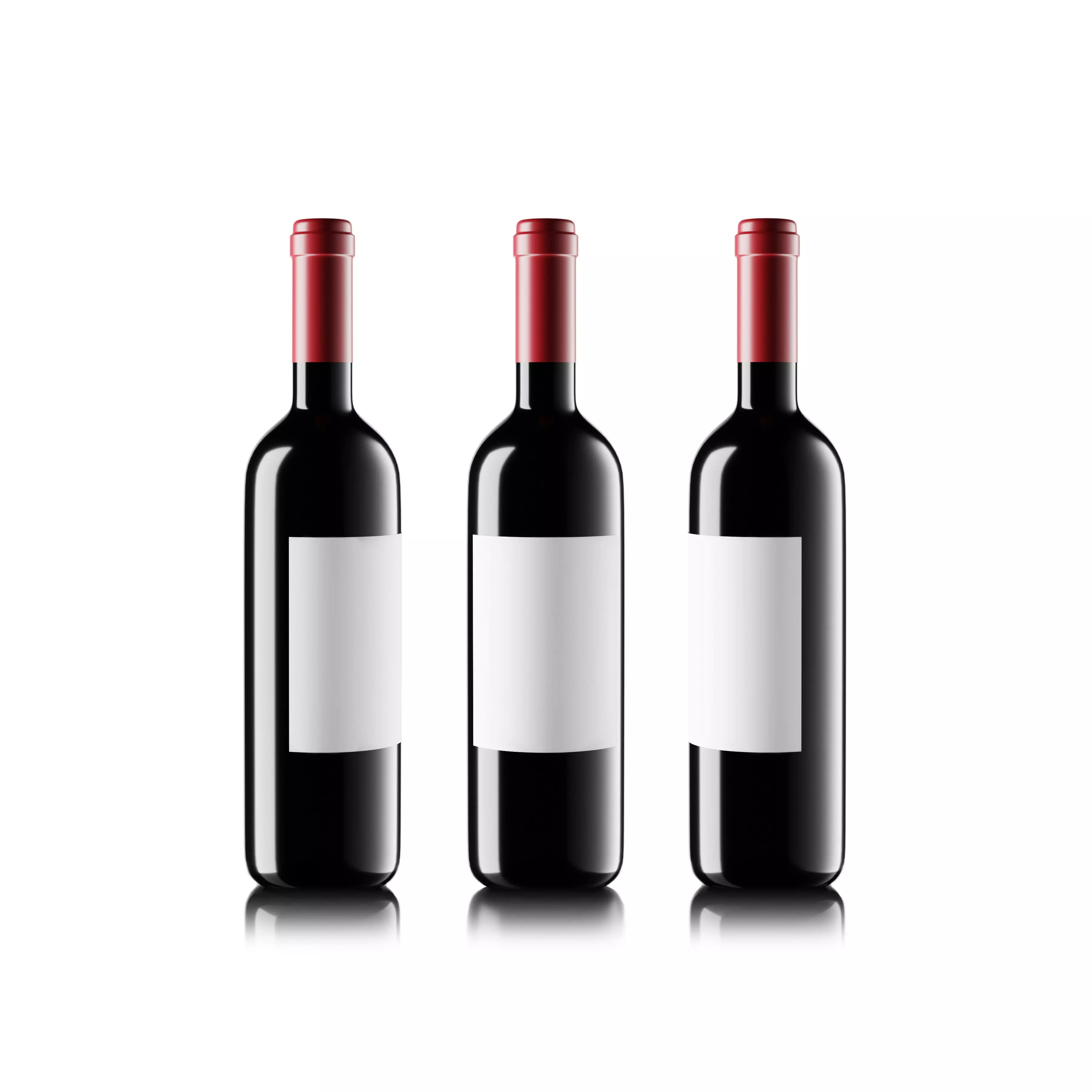 Wine Bottle Mockup 3D model_0