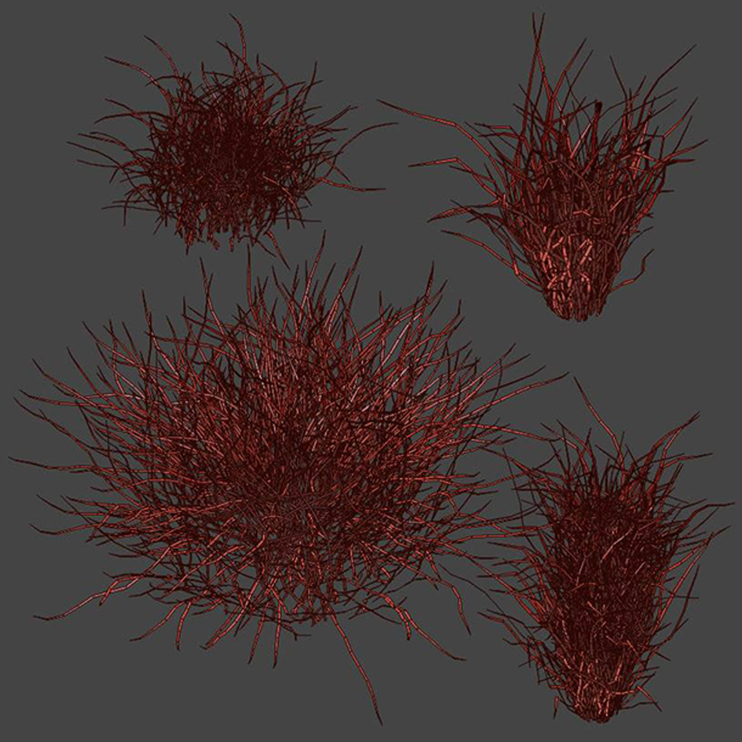 Forest Grass 03 3D model_6