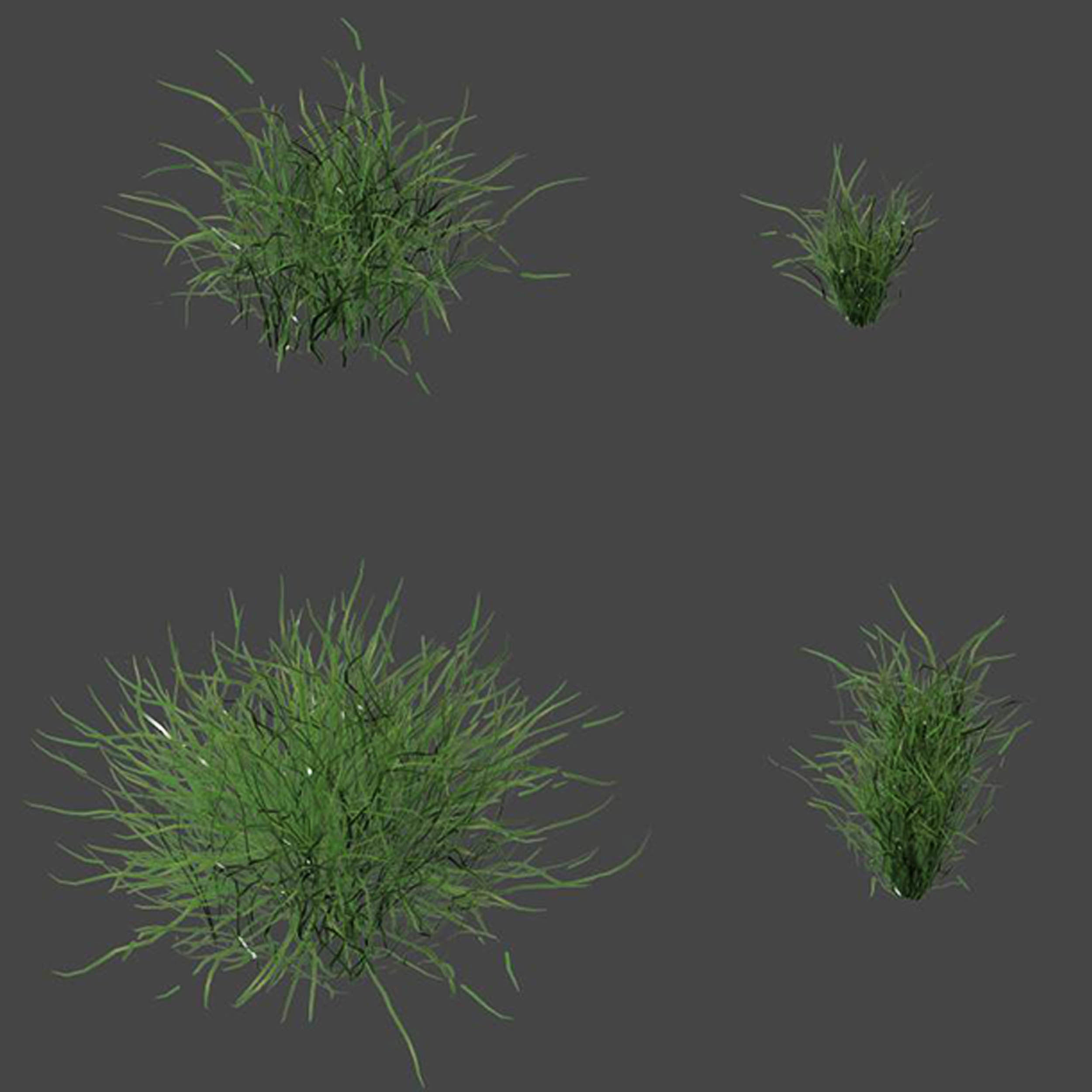 Forest Grass 03 3D model_5