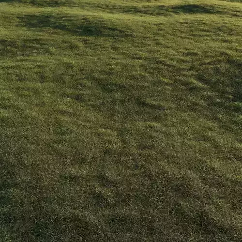 Forest Grass 03 3D model