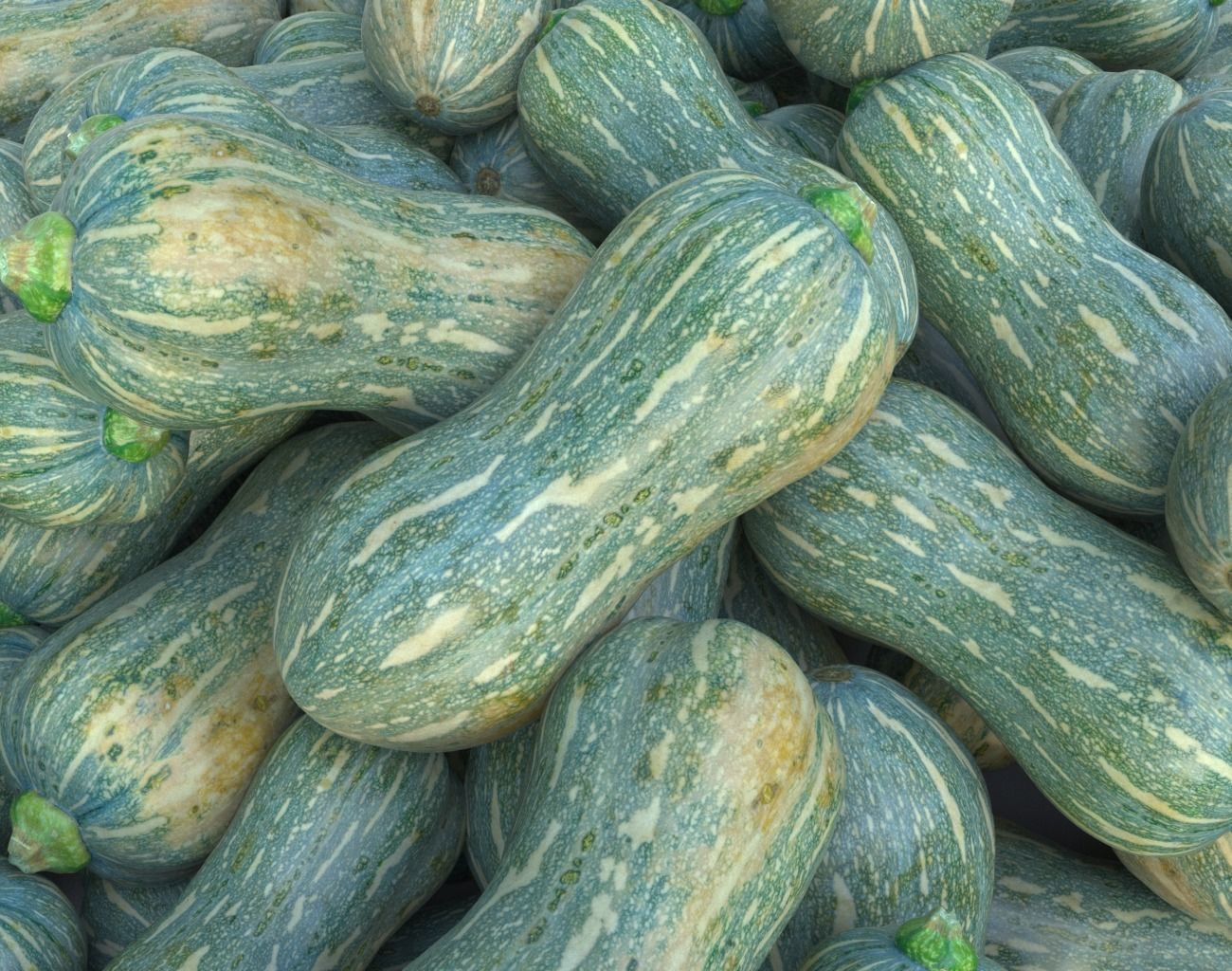 Gourd Photogrammetry 220429 Low-poly 3D model_10