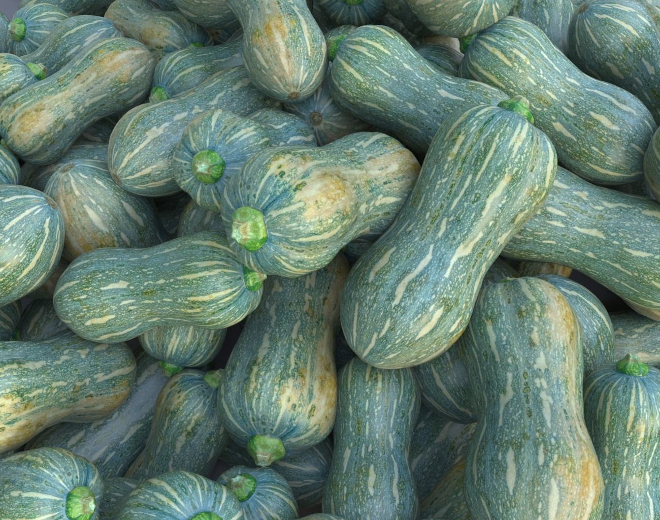 Gourd Photogrammetry 220429 Low-poly 3D model_9