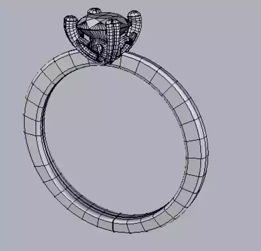 rhino ring setting
