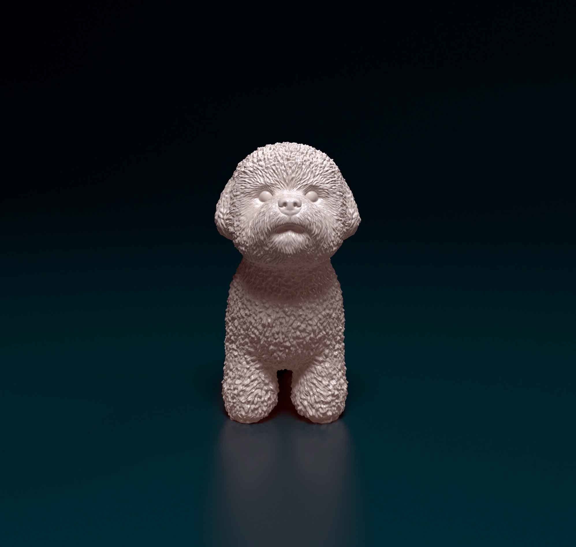 Bichon Frise 3D print model_5