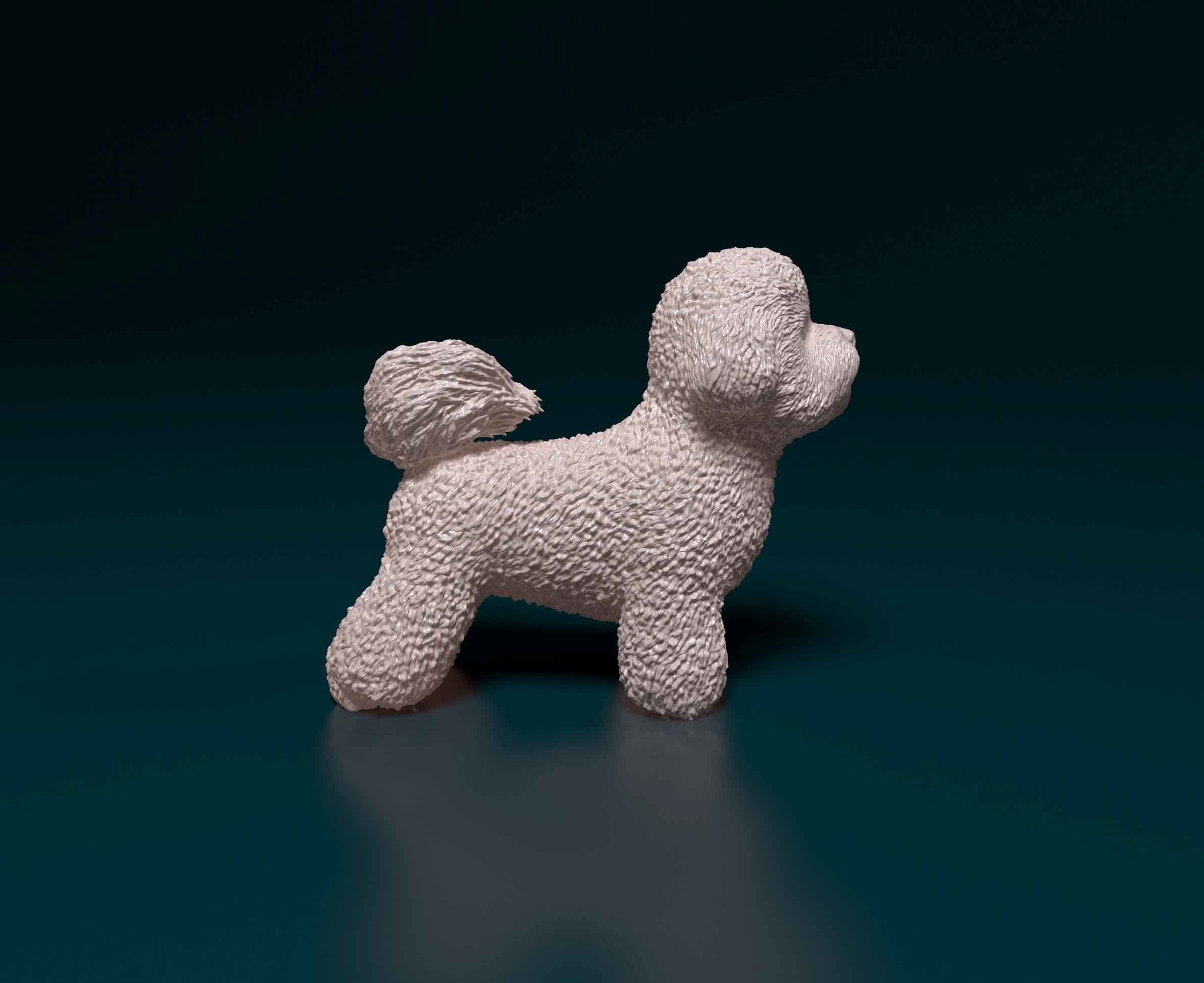 Bichon Frise 3D print model_1