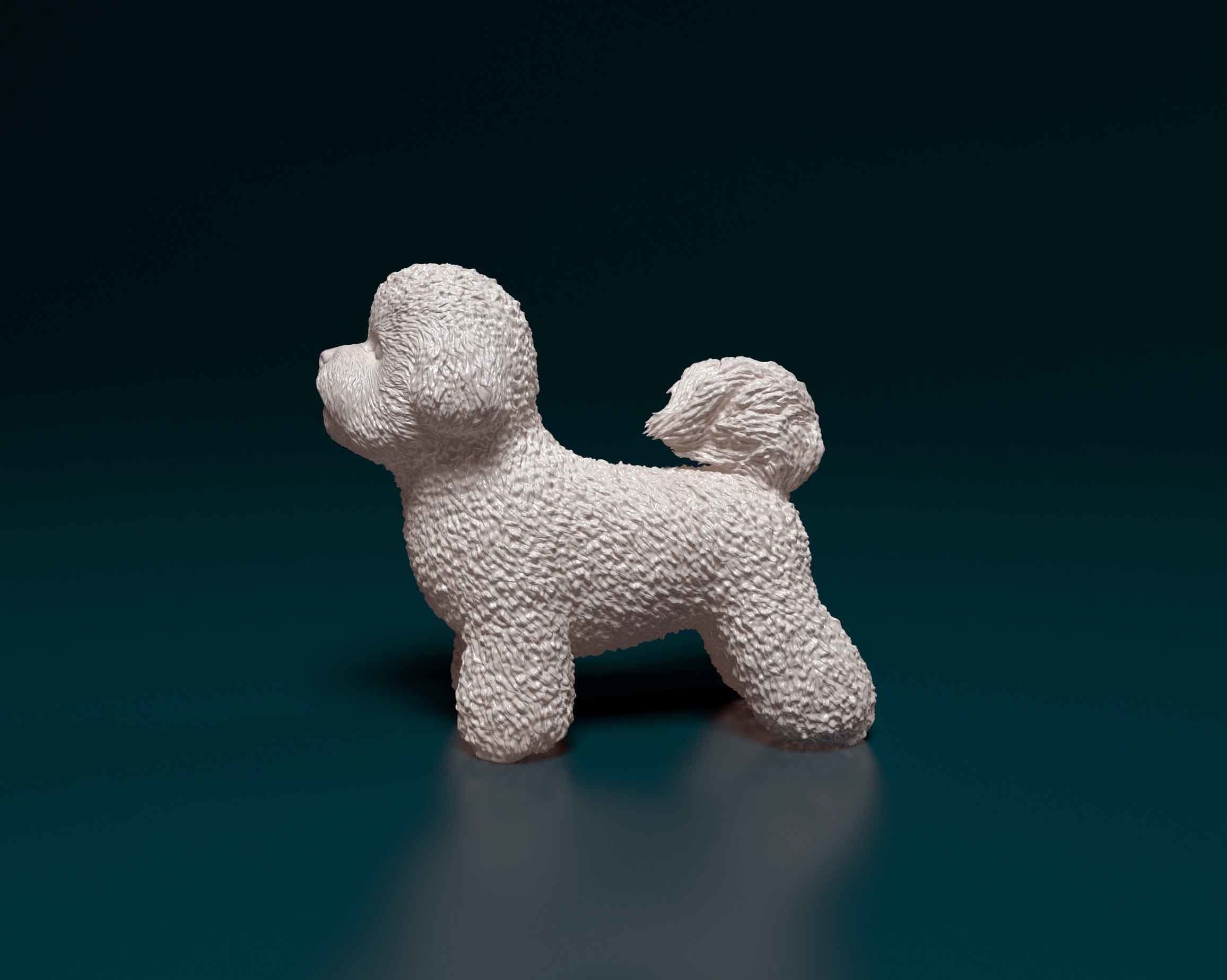 Bichon Frise 3D print model_4