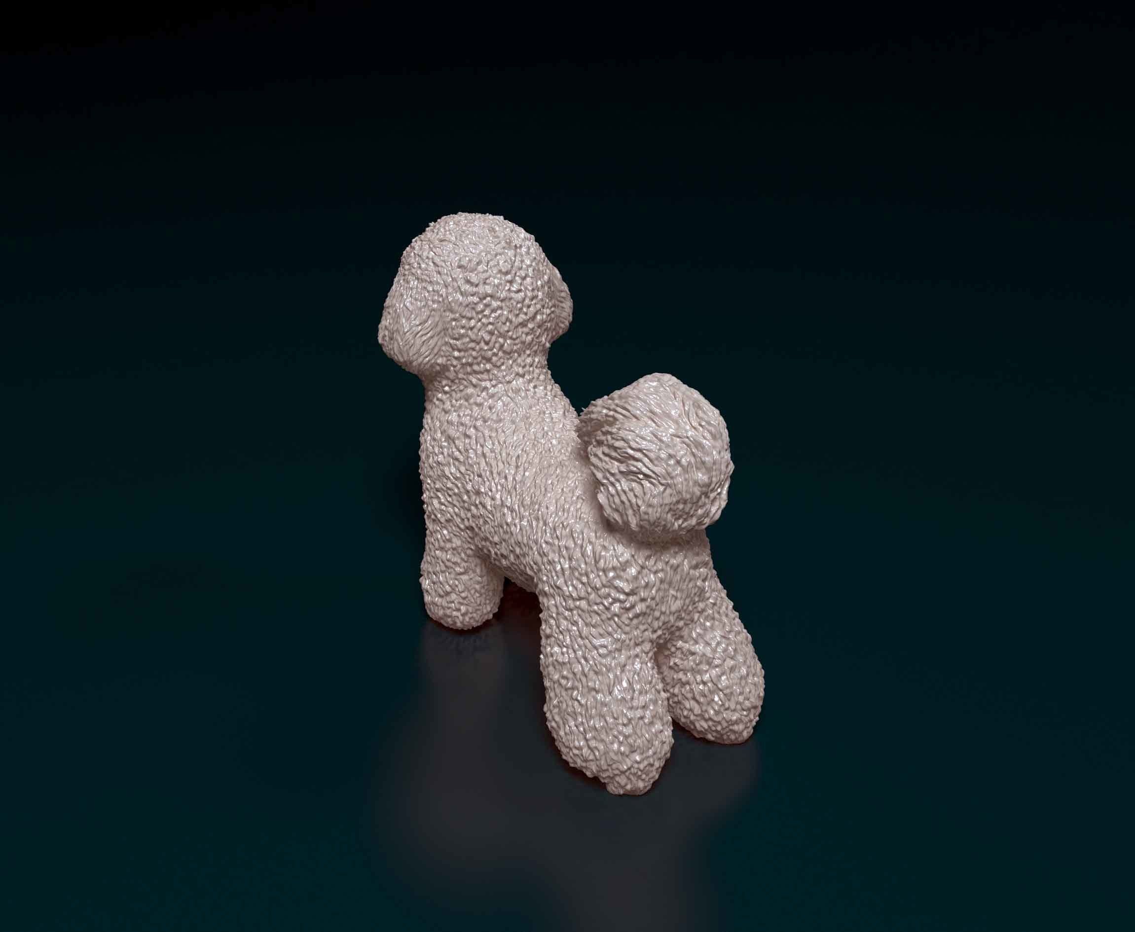 Bichon Frise 3D print model_3