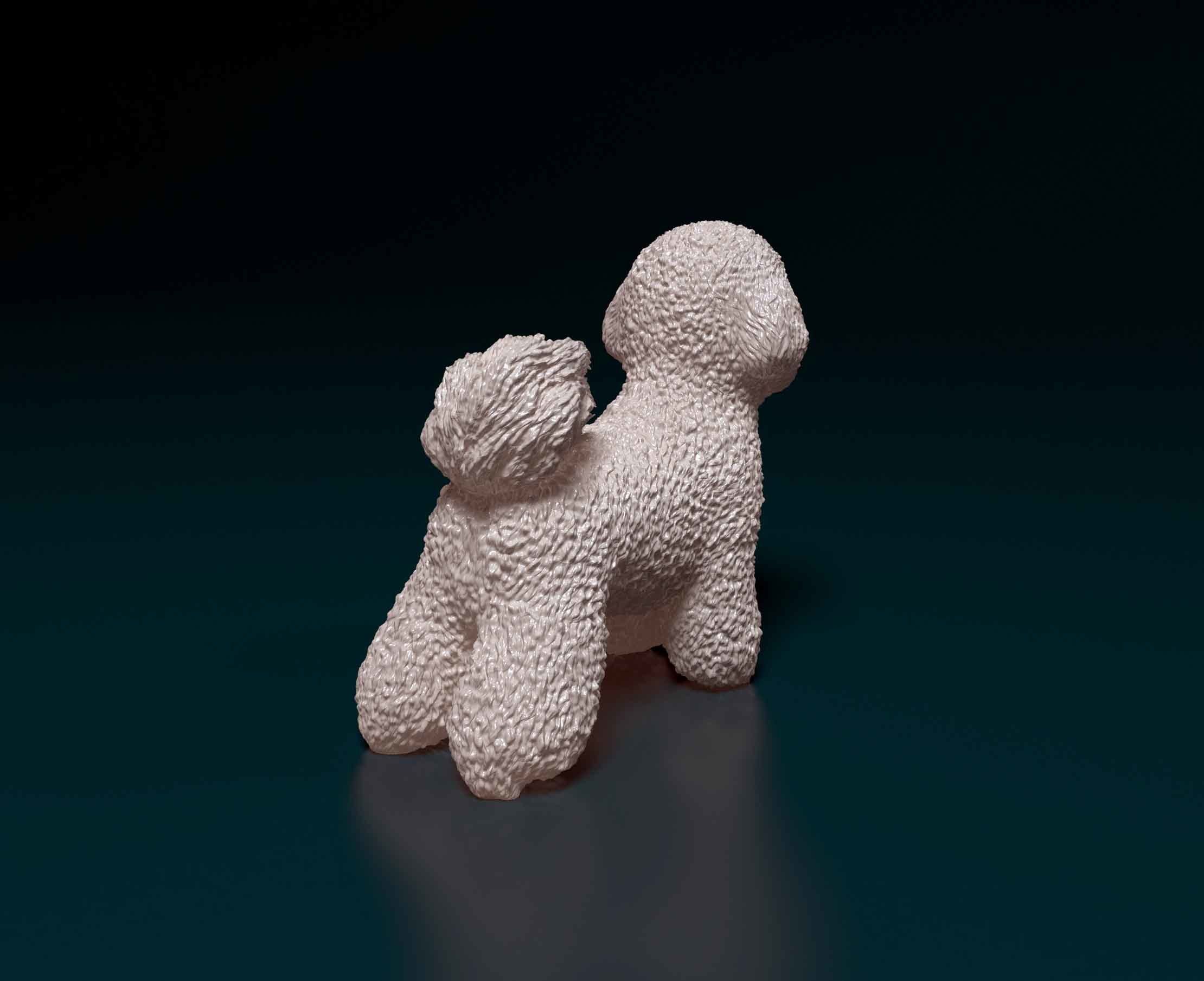 Bichon Frise 3D print model_2