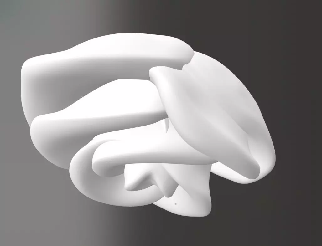 Rose Jewelry Free 3D print model_0