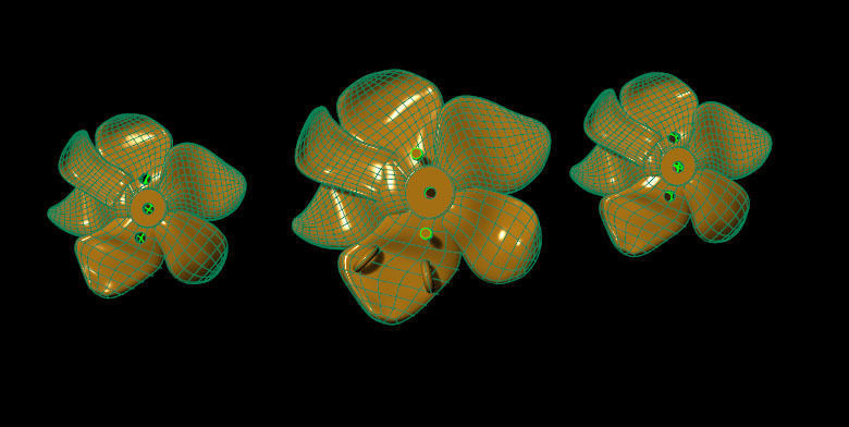 rose halfset2 3D print model_2