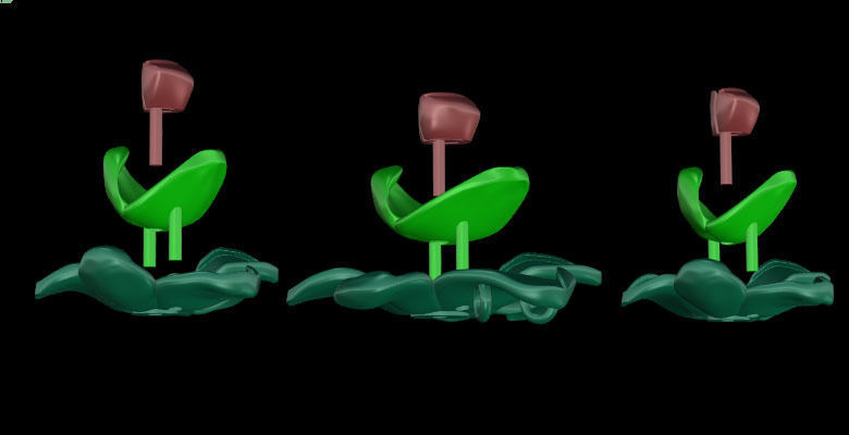 rose halfset2 3D print model_4