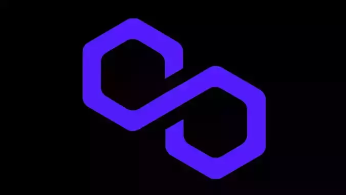 POLYGON MATIC Btc Bitcoin Crypto Coin Token Blockchain Nft0014