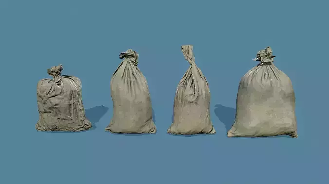 3D Scan Bags Pack - Props