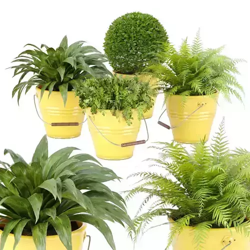 outdoor natural plants collection vol 65