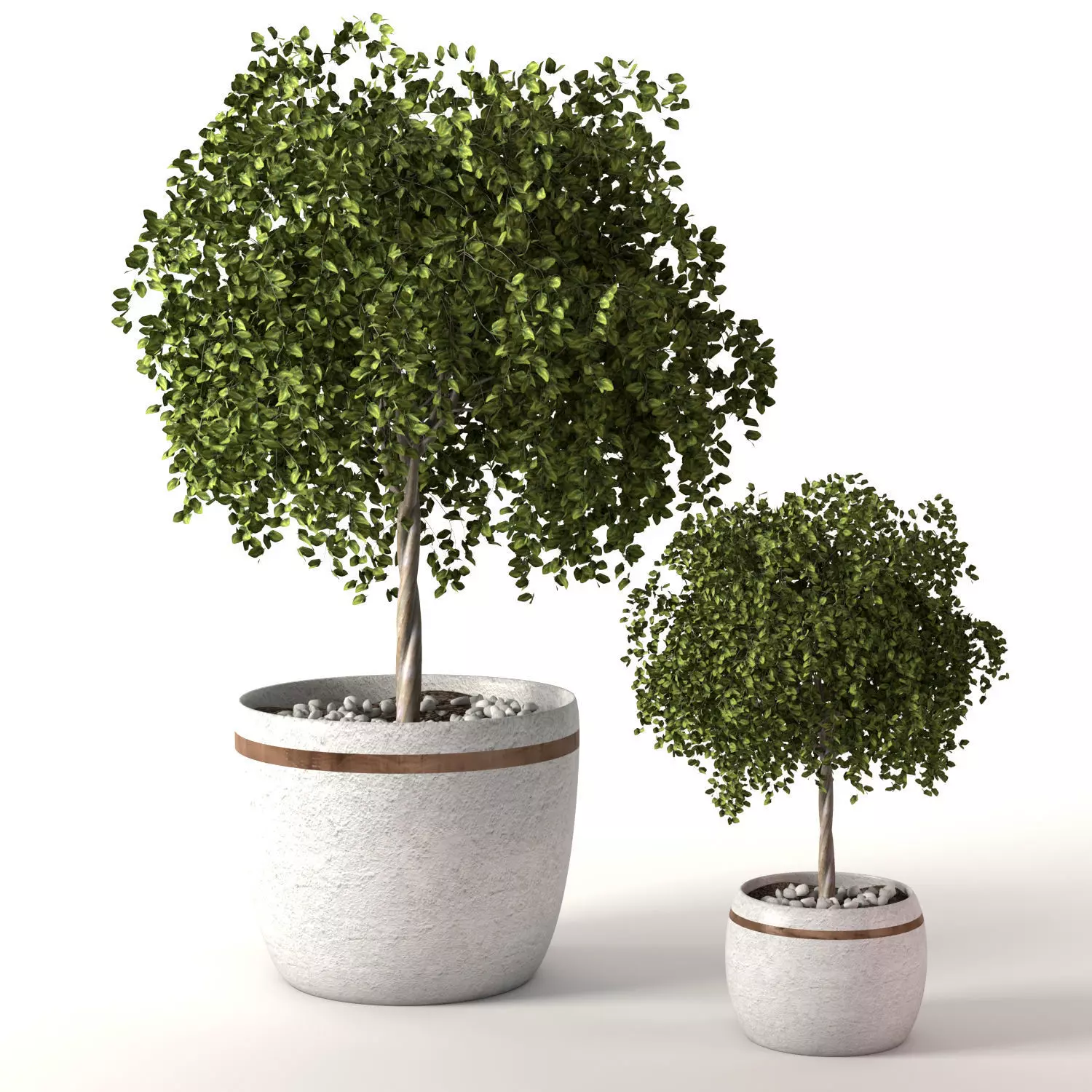 Greanplants two trees in pots Free 3D model