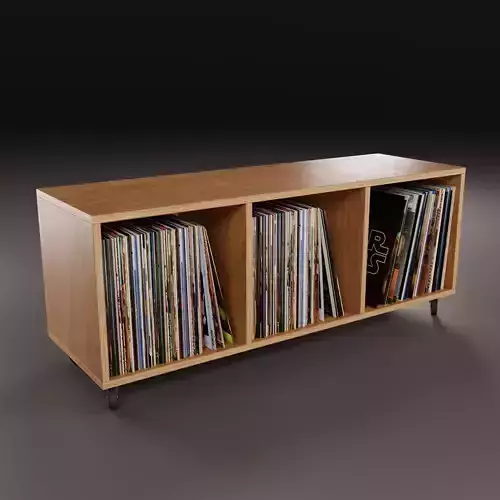Vinyl Storage No36