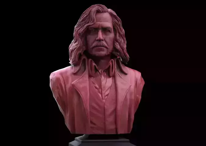 Sirius Black Bust  3D print model