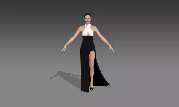 DRESS BLACK AND WHITE LOOK MODERN CHIC