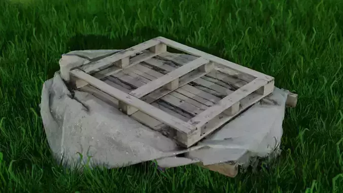 Wooden scanned pallete