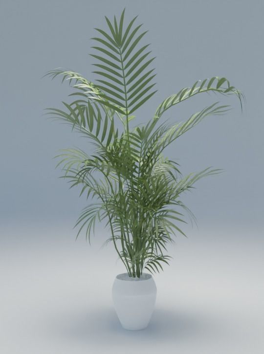 Low poly Floor plant 02 Free low-poly 3D model_1