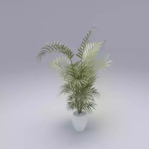 Low poly Floor plant 02 Free low-poly 3D model