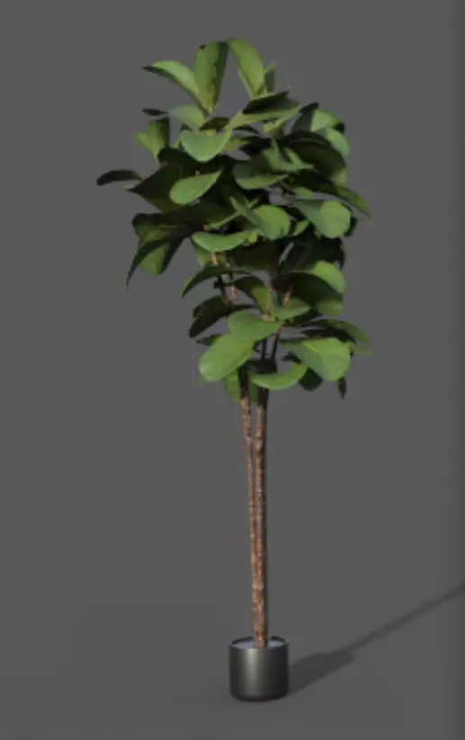 Floor Plant 03 Free low-poly 3D model